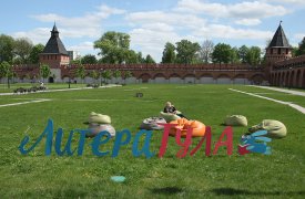 В Тульском кремле пройдет Второй детский книжный фестиваль «ЛитераТула»