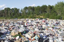Администрация МО Лазаревское оштрафована на 200 тыс. руб. за несанкционированные свалки