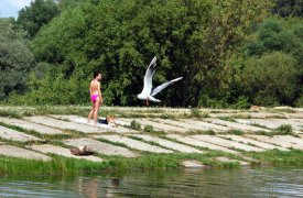 Водолазы проверили дно пруда в Центральном парке