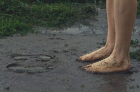 Погода в Туле 20 мая: тепло, но дождь