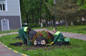 В Пролетарском округе клумба в виде гигантской божьей коровки пугает прохожих