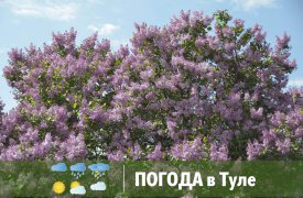 В Туле вновь потеплеет до +22°