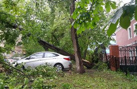 В Москве от урагана погибли 7 человек. Стихия надвигается на Тулу!