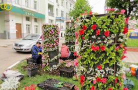 На ул. Октябрьской появились цветочные колонны