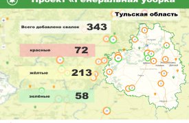За четыре месяца работы «Интерактивной карты свалок» ОНФ удалось решить более 1000 проблем