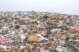 В Туле выявили 32 незаконные свалки