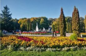 В Тульском парке организуют культурную программу