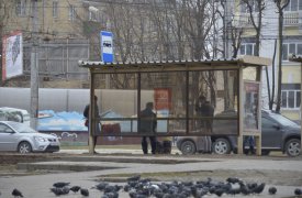 На улицах Тулы появятся 65 новых остановочных павильонов