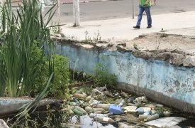 Туляки жалуются на «свинский» водоём в центре города