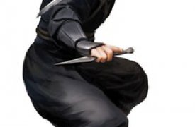 Тульский «ниндзя» пытался убить собутыльника