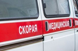В Туле на ул. Рязанской машина насмерть переехала пенсионерку с собачкой