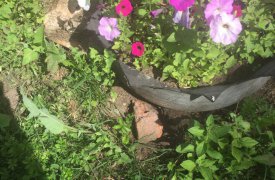 Туляки жалуются на наркоманов, портящих клумбы во дворах