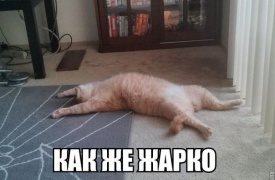 МЧС предупреждает туляков об аномальной жаре