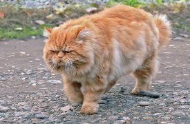 29 августа в Туле холодно и дождливо