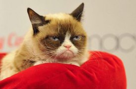Погода в Туле 8 сентября: хмурая пятница