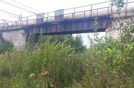 В Тульской области погиб 11-летний мальчик при попытке сделать селфи