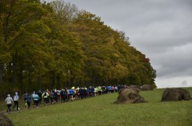 Тульский марафон: Бежалось очень легко!