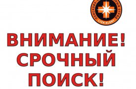 В Тульской области пропали люди