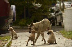 Погода в Туле 11 октября: похолодало