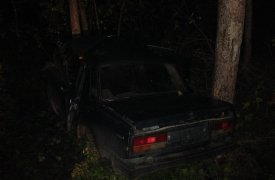 В Тульской области четверо парней попали в больницу в результате ДТП с деревом
