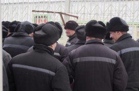 Туляк поскупился на выплате алиментов, за что отправится в колонию строго режима