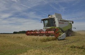 В Тульской области собран рекордный урожай зерна за последние 30 лет