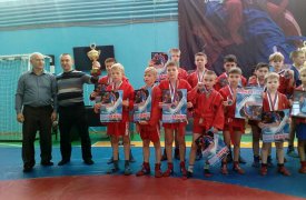 Шесть юных спортсменов из Тулы заняли призовые места в соревнованиях по самбо в своих категориях