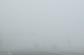МЧС предупреждает тульских водителей о сильном тумане