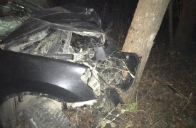 В Заокском районе автоледи на «Ниссане» влетела в дерево