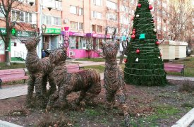 В Туле появились страшные олени