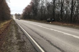 В Тульской области жители цыганского табора обокрали женщину, попавшую в ДТП