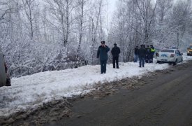 В Тульской области автобус перевернулся в кювет: двое пострадали