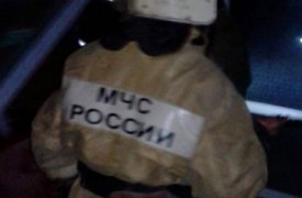 Ночью в Туле 12 человек тушили частный дом