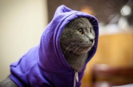 Погода в Туле 30 ноября: последний день осени будет теплым