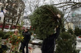С 20 декабря в Туле начнут работу более 40 ёлочных базаров