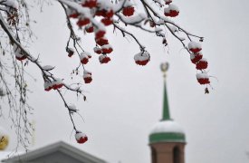 В Тульской области завтра в отдельных районах ожидается метель
