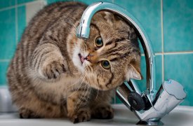 6 декабря в некоторых тульских домах не будет воды