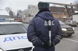 23 декабря в Туле ограничат движение транспорта из-за кронирования деревьев