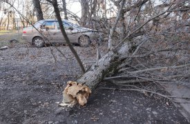 Жителей Тульской области предупреждают о сильном ветре и гололедице