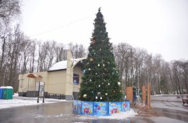 В каком районе Тулы самая красивая елка?