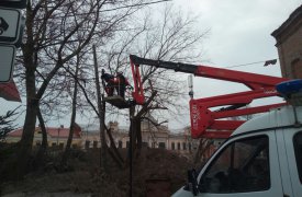 В центре Тулы спиливают аварийные деревья