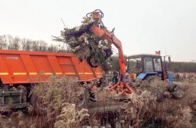 8 января производилась уборка кладбища поселка Барсуки
