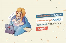 Команда «Молодежки ОНФ» поздравила тульских студентов