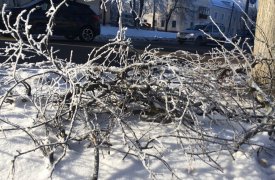 На ул. Станиславского убрали мешавшие тулякам ветки