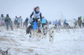 На Куликовом поле прошли гонки на собачьих упряжках