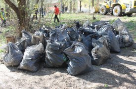 За неделю в Туле обнаружили три несанкционированные свалки