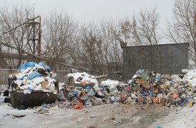 Жители ул. Новотульской пожаловались на несанкционированную свалку