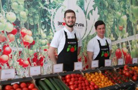 В Тульской области начали строить один из крупнейших тепличных комплексов в стране