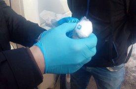 В Туле задержали «закладчика» со свёртками амфетамина и каннабиса