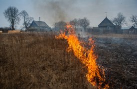 В Туле готовятся к пожароопасному сезону и палу травы